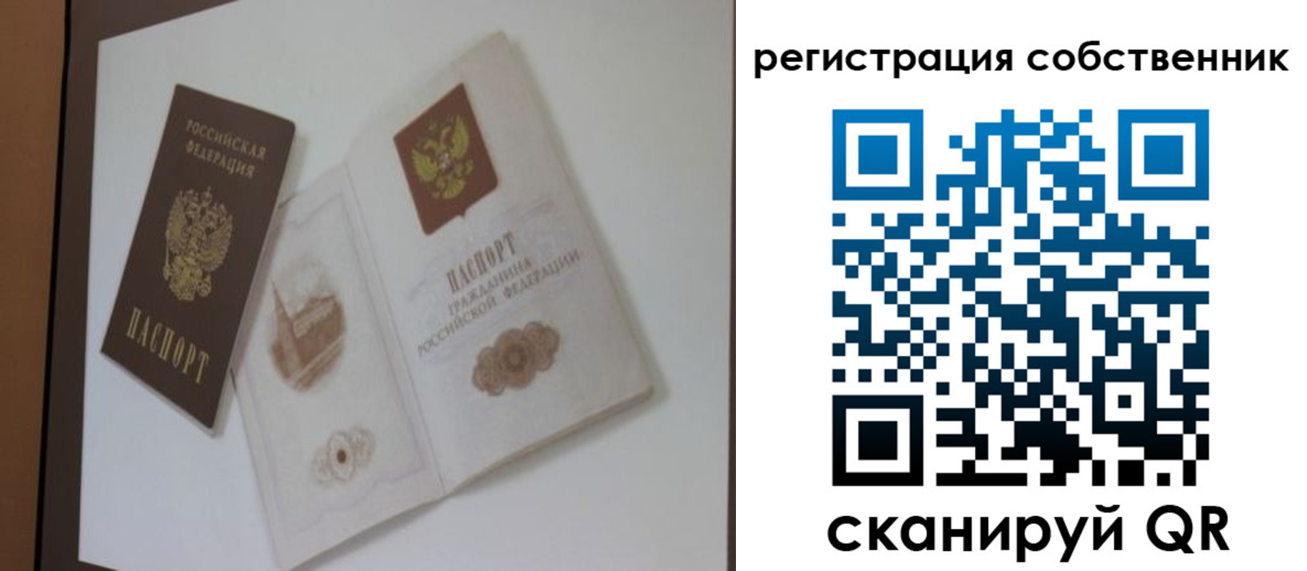 временная регистрация надежно в Сельцо